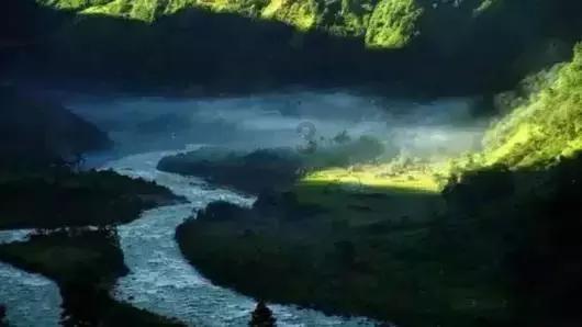 生化危机启示录2